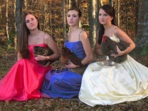 Celebrity Prom Pictures Really Awkward, Funny Photos